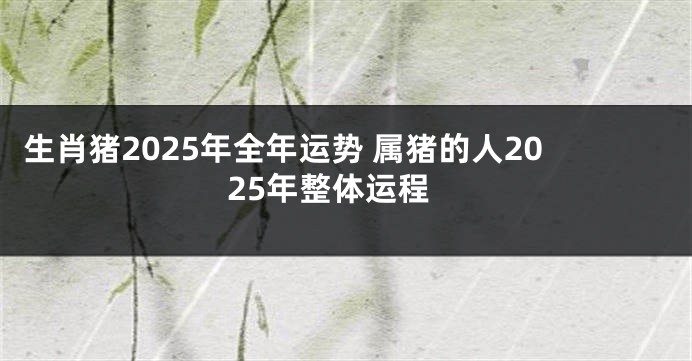 生肖猪2025年全年运势 属猪的人2025年整体运程