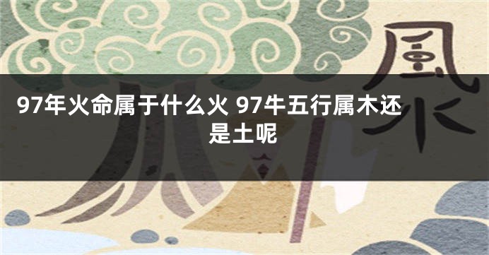 97年火命属于什么火 97牛五行属木还是土呢