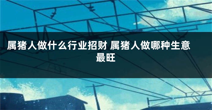 属猪人做什么行业招财 属猪人做哪种生意最旺