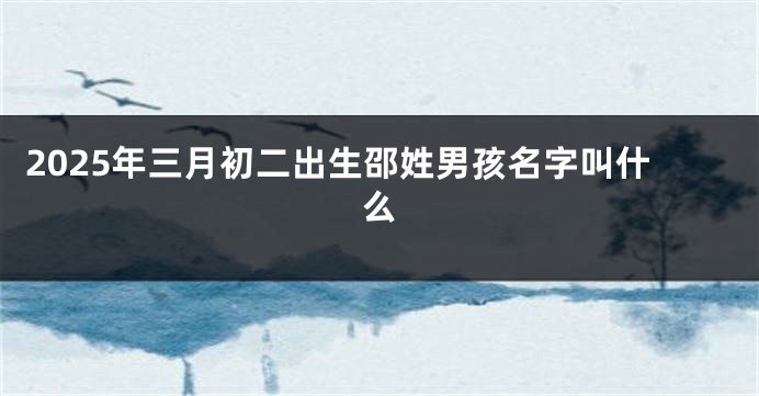 2025年三月初二出生邵姓男孩名字叫什么