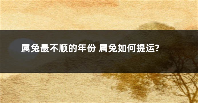 属兔最不顺的年份 属兔如何提运?