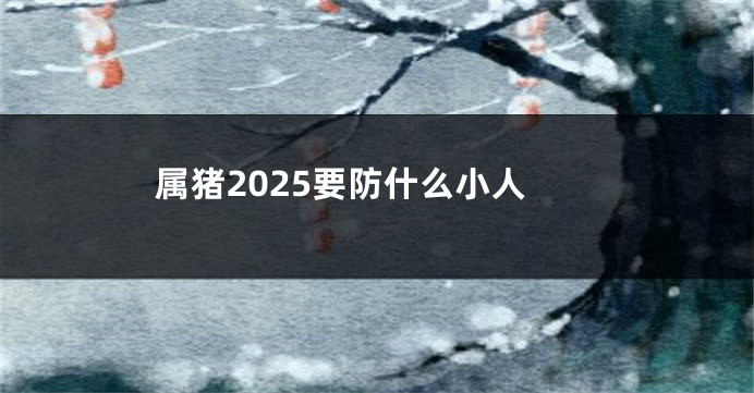 属猪2025要防什么小人
