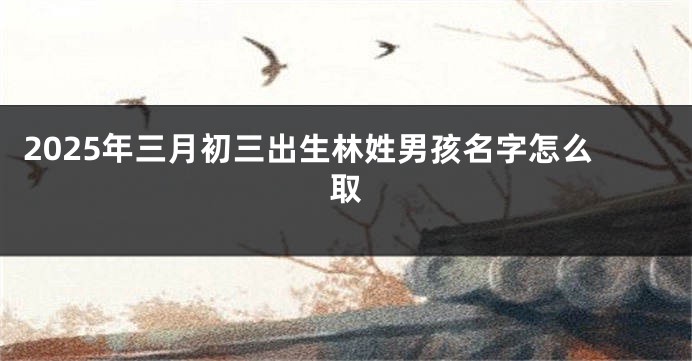 2025年三月初三出生林姓男孩名字怎么取