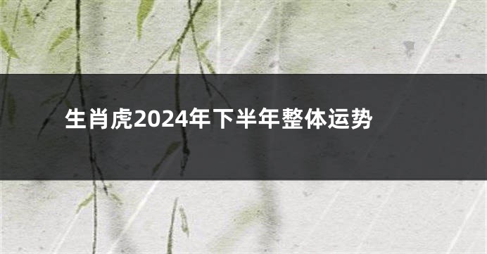 生肖虎2024年下半年整体运势