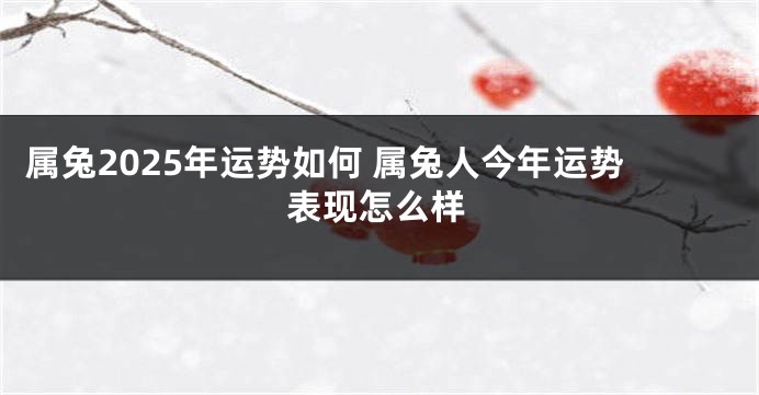 属兔2025年运势如何 属兔人今年运势表现怎么样