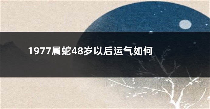 1977属蛇48岁以后运气如何