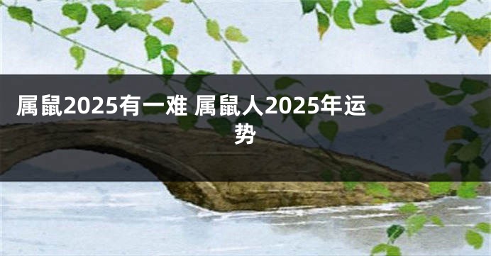 属鼠2025有一难 属鼠人2025年运势
