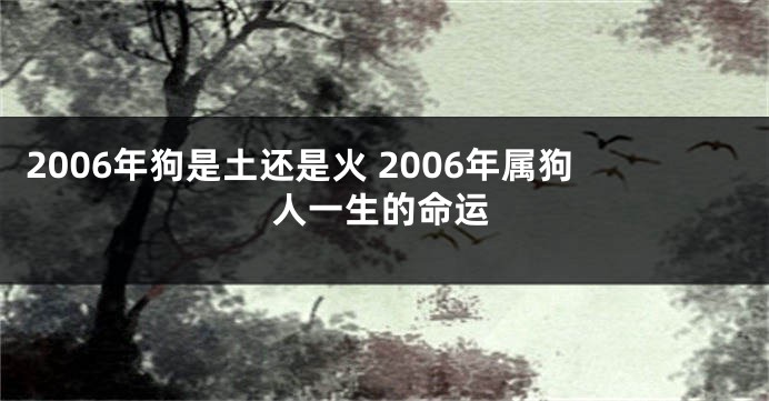 2006年狗是土还是火 2006年属狗人一生的命运