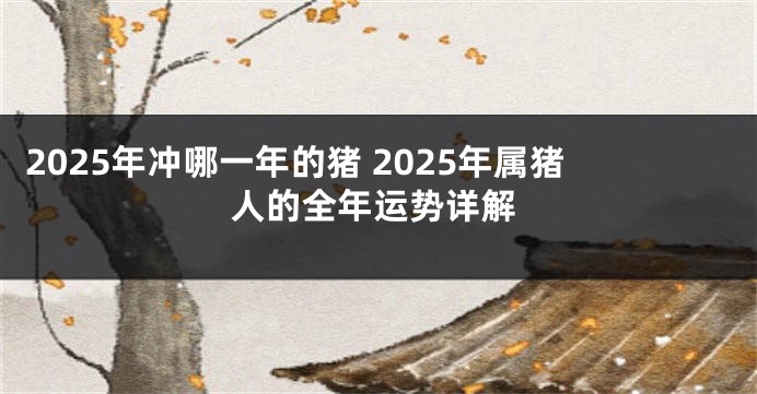 2025年冲哪一年的猪 2025年属猪人的全年运势详解