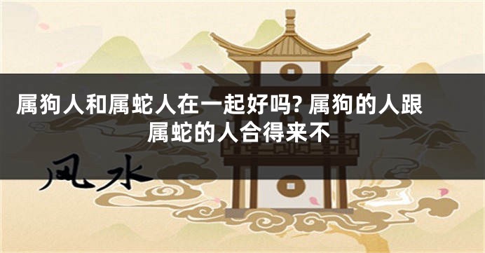 属狗人和属蛇人在一起好吗? 属狗的人跟属蛇的人合得来不