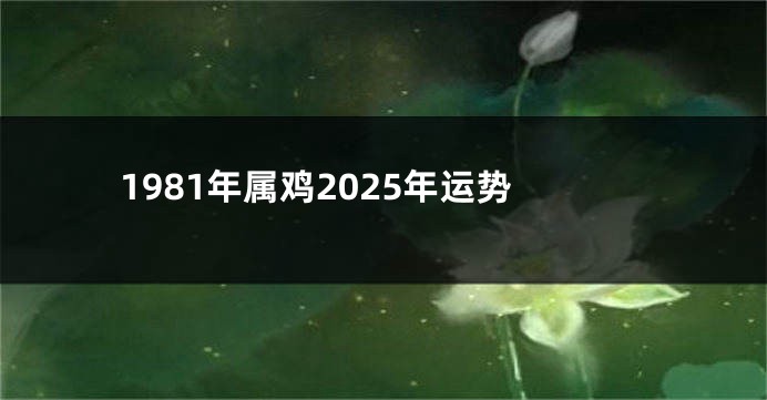 1981年属鸡2025年运势