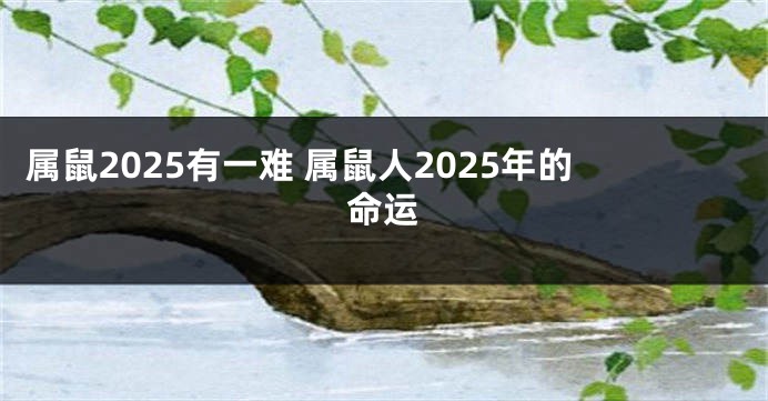 属鼠2025有一难 属鼠人2025年的命运