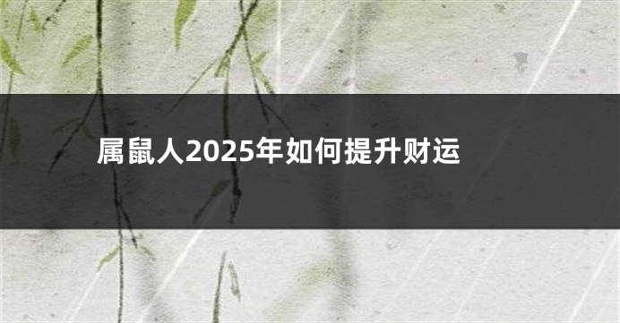 属鼠人2025年如何提升财运