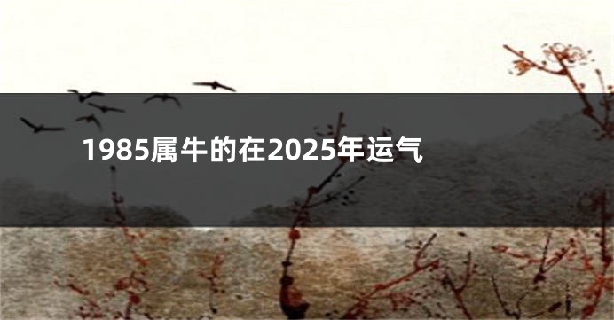 1985属牛的在2025年运气
