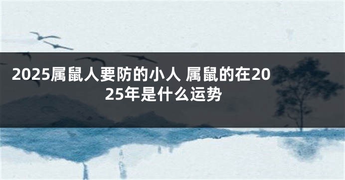 2025属鼠人要防的小人 属鼠的在2025年是什么运势