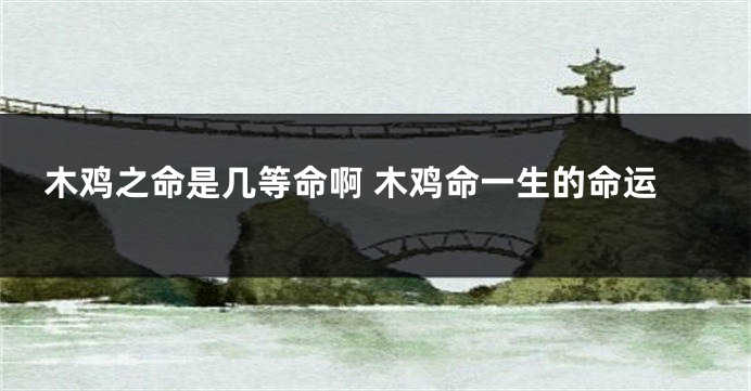 木鸡之命是几等命啊 木鸡命一生的命运