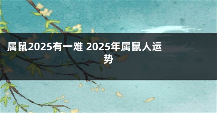 属鼠2025有一难 2025年属鼠人运势