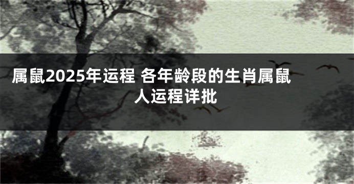属鼠2025年运程 各年龄段的生肖属鼠人运程详批