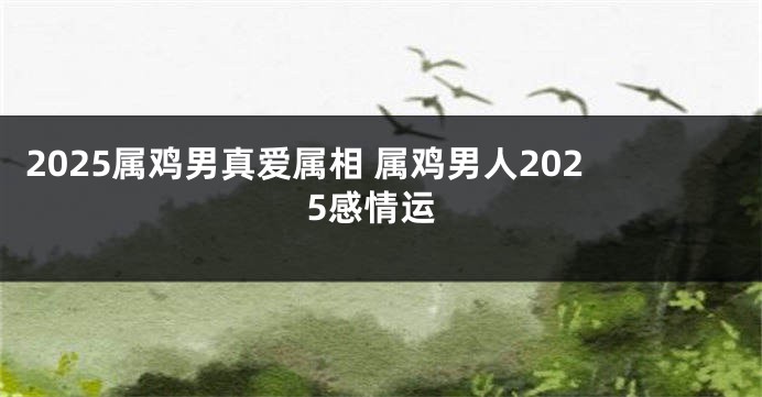 2025属鸡男真爱属相 属鸡男人2025感情运