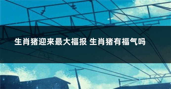 生肖猪迎来最大福报 生肖猪有福气吗