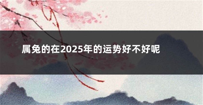 属兔的在2025年的运势好不好呢