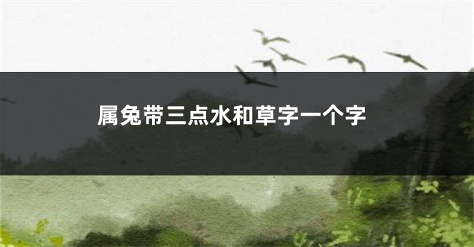 属兔带三点水和草字一个字