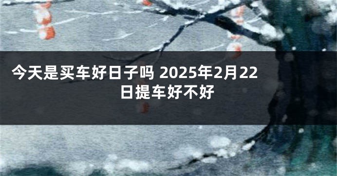 今天是买车好日子吗 2025年2月22日提车好不好