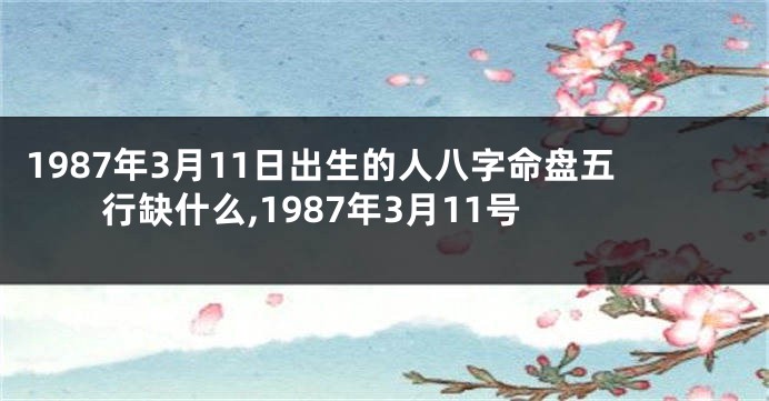 1987年3月11日出生的人八字命盘五行缺什么,1987年3月11号