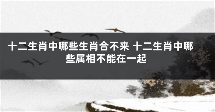 十二生肖中哪些生肖合不来 十二生肖中哪些属相不能在一起