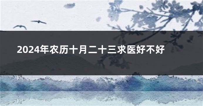 2024年农历十月二十三求医好不好