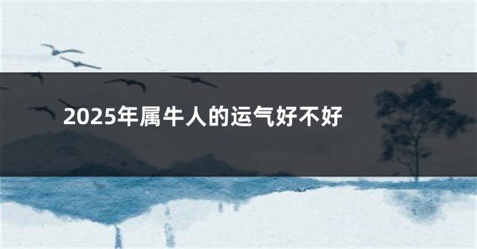 2025年属牛人的运气好不好 