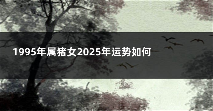 1995年属猪女2025年运势如何 