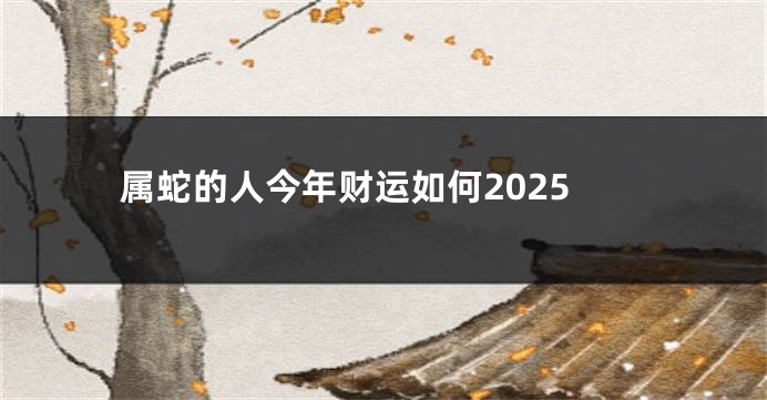 属蛇的人今年财运如何2025