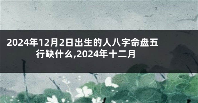 2024年12月2日出生的人八字命盘五行缺什么,2024年十二月