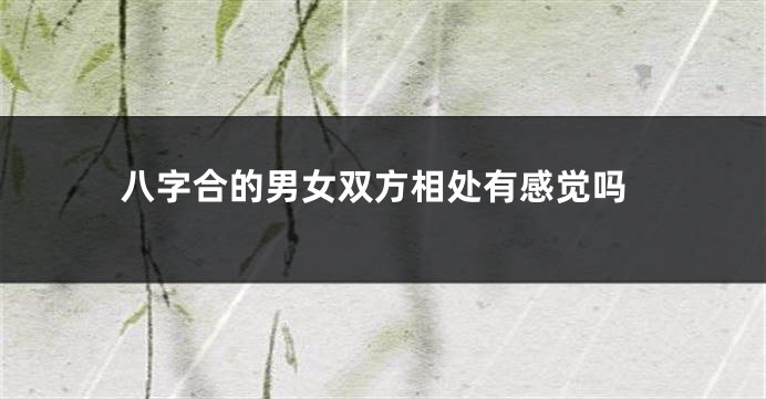 八字合的男女双方相处有感觉吗