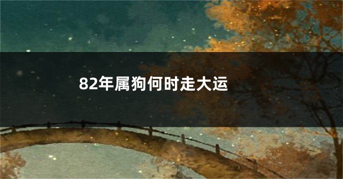 82年属狗何时走大运 