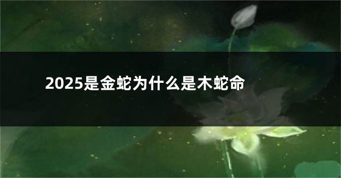 2025是金蛇为什么是木蛇命 