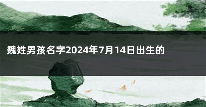 魏姓男孩名字2024年7月14日出生的