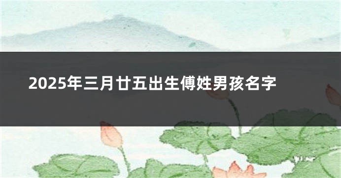 2025年三月廿五出生傅姓男孩名字