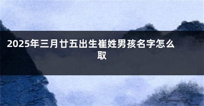 2025年三月廿五出生崔姓男孩名字怎么取
