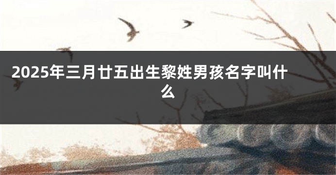 2025年三月廿五出生黎姓男孩名字叫什么