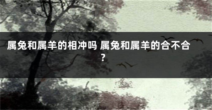 属兔和属羊的相冲吗 属兔和属羊的合不合?