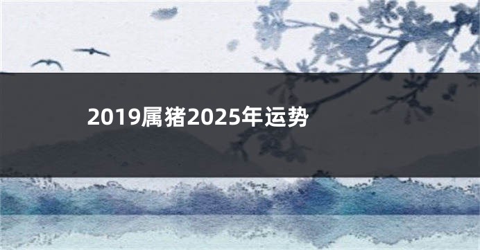 2019属猪2025年运势