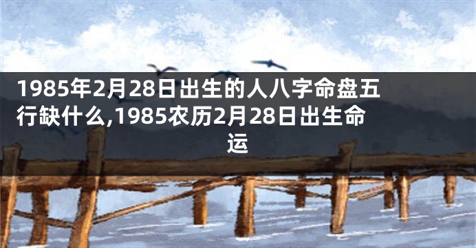 1985年2月28日出生的人八字命盘五行缺什么,1985农历2月28日出生命运
