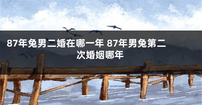 87年兔男二婚在哪一年 87年男兔第二次婚姻哪年
