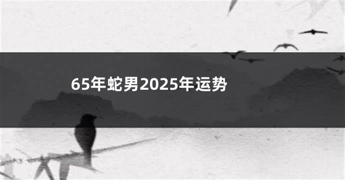 65年蛇男2025年运势
