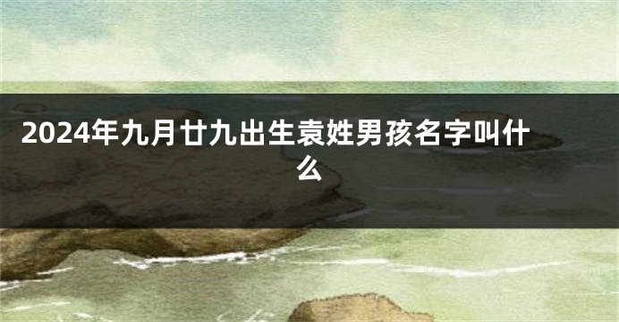 2024年九月廿九出生袁姓男孩名字叫什么
