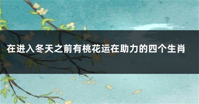 在进入冬天之前有桃花运在助力的四个生肖