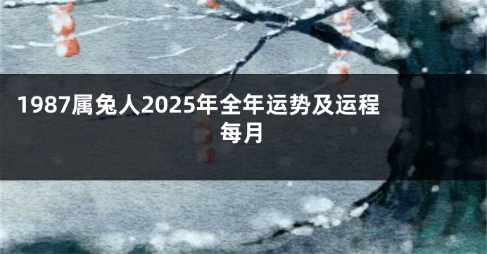 1987属兔人2025年全年运势及运程每月