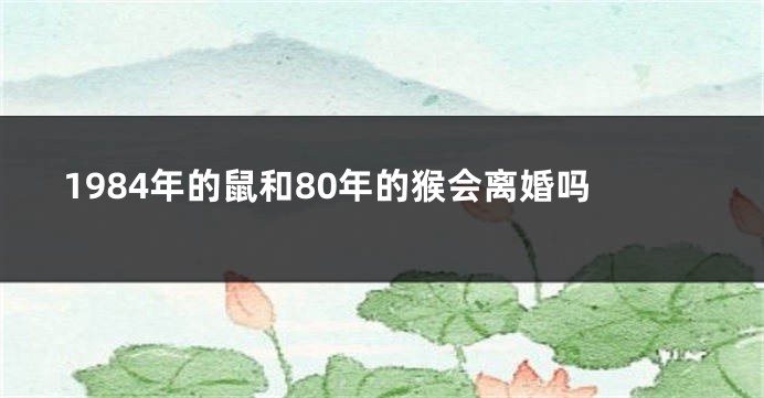 1984年的鼠和80年的猴会离婚吗
